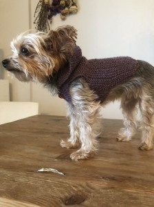 9106D8FC-D17F-48AD-B954-1DD4DA2D0347