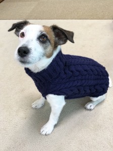 A5EA2947-982F-4625-8BB0-72CEF76D1367