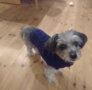 B46F2227-DD4F-4B21-98EF-B5C407B3588F