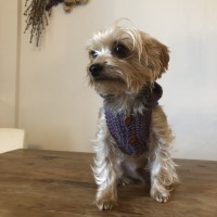 BB7F318D-40B4-4C82-8390-B5188CFB0DB0