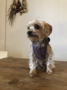 BB7F318D-40B4-4C82-8390-B5188CFB0DB0