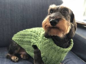 D54C9788-FCB9-45A9-8151-8B9CAA2102EB