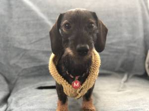 E0732FCD-D50D-4F20-8E4B-4624357ED098