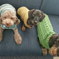 E4BC076B-4B4D-48D7-9DA1-72A12FA91D0A