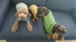 E4BC076B-4B4D-48D7-9DA1-72A12FA91D0A