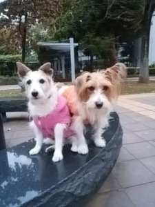 E791B2A5-0993-4881-924C-4ED1D46EEB60