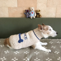 FE6D0CA6-68E5-441A-B3E5-37BD5CCB84BF