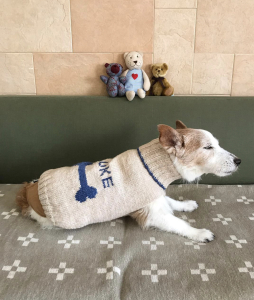 FE6D0CA6-68E5-441A-B3E5-37BD5CCB84BF